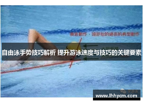 自由泳手势技巧解析 提升游泳速度与技巧的关键要素