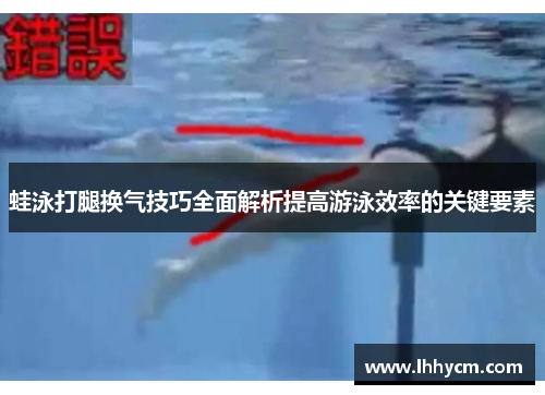 蛙泳打腿换气技巧全面解析提高游泳效率的关键要素